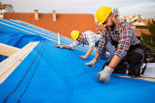 Best Storm Damage Roof Repair  in Chester, IL